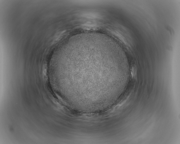 X0000112381396200909031942