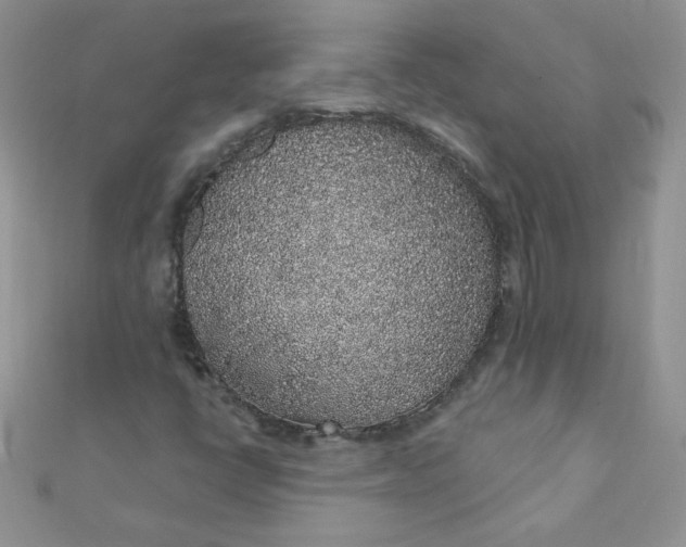 X0000112381398200909031942