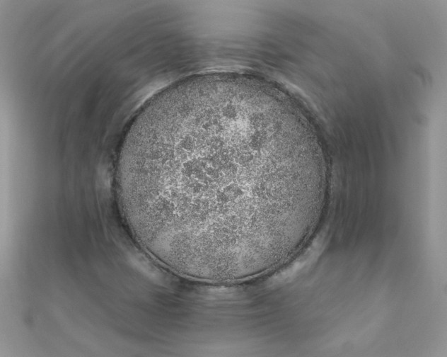 X0000112381401200909031942