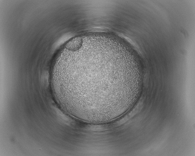 X0000112381402200909031942