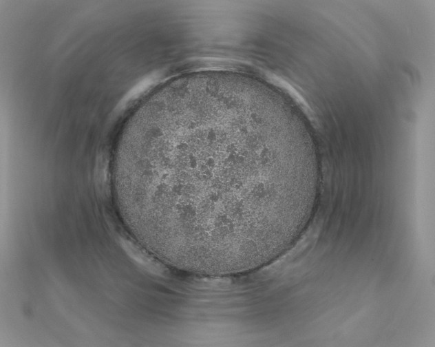 X0000112381403200909031942