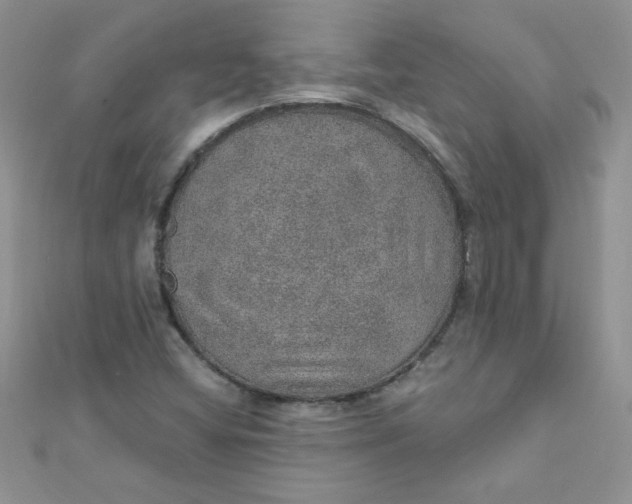 X0000112381404200909031942