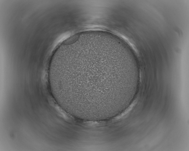 X0000112381405200909031942