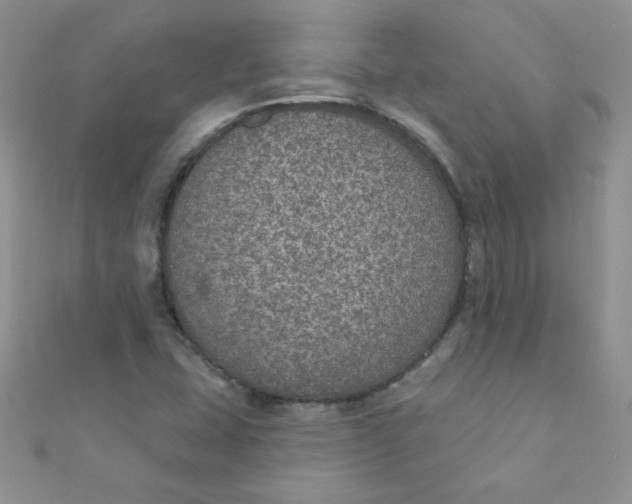 X0000112381407200909031942