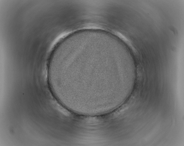 X0000112381408200909031942