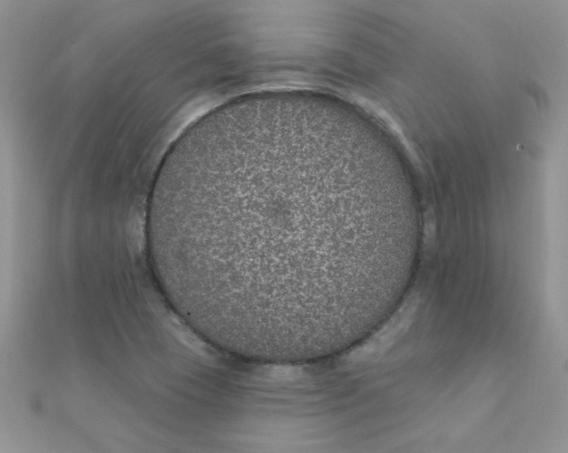 X0000112381409200909031942