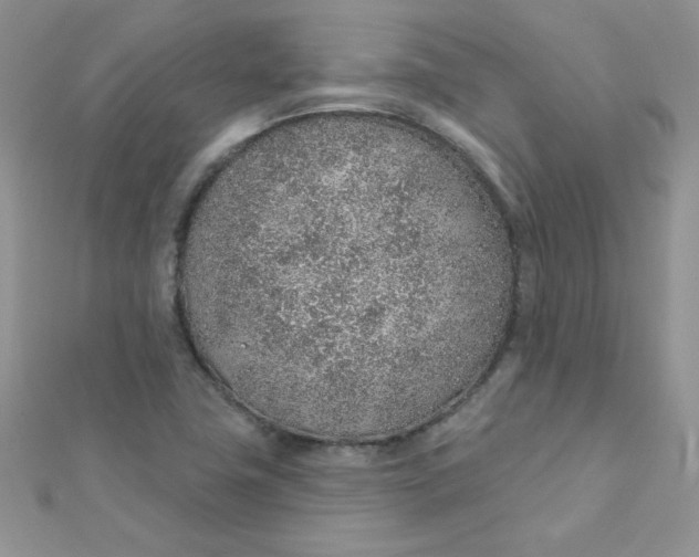 X0000112381411200909031942