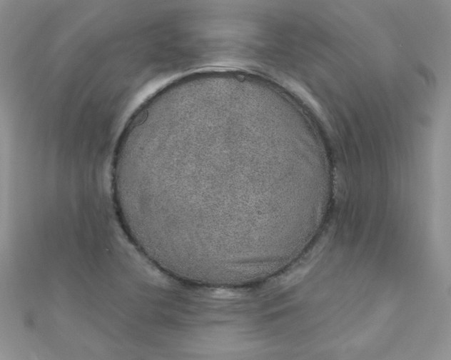 X0000112381412200909031942