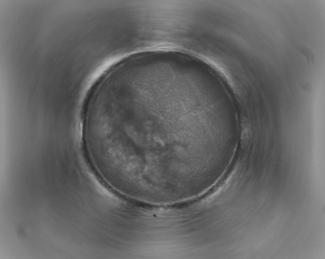 X0000112381414200909031942