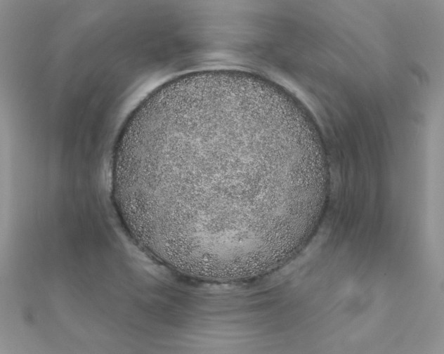 X0000112381415200909031942