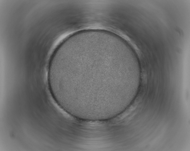 X0000112381416200909031942