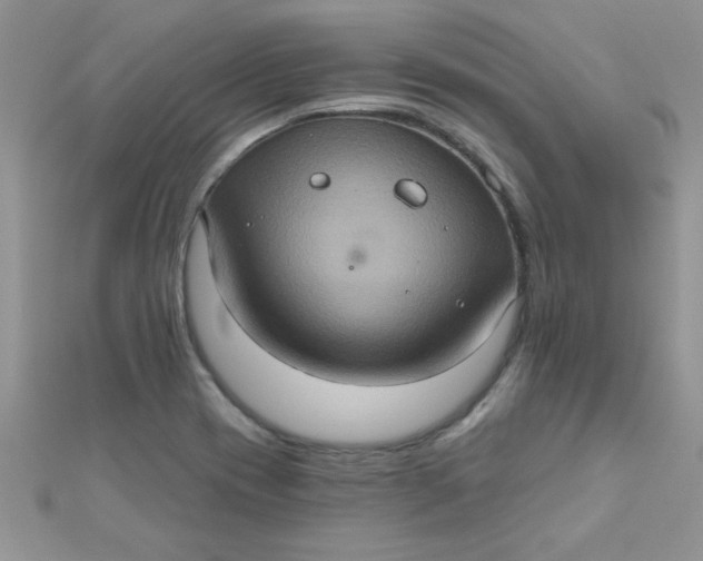 X0000112381417200909031942