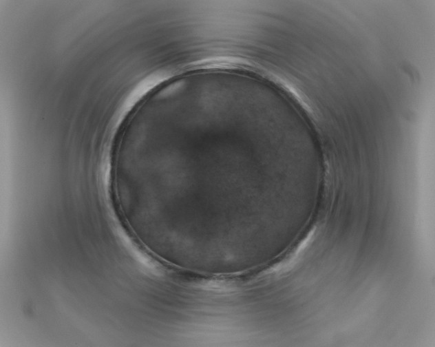 X0000112381418200909031942