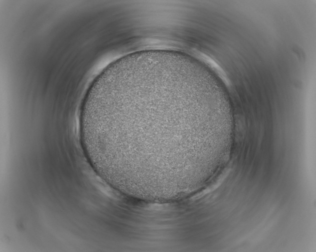 X0000112381419200909031942