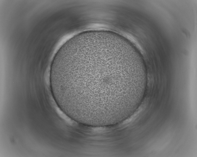 X0000112381421200909031943