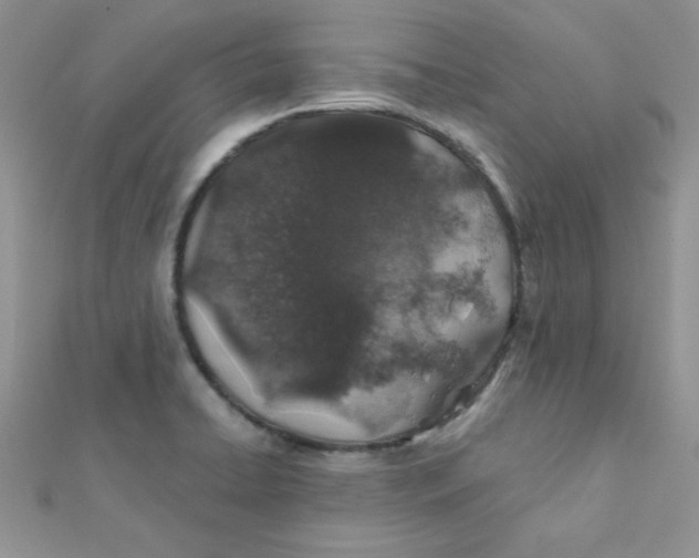 X0000112381422200909031943