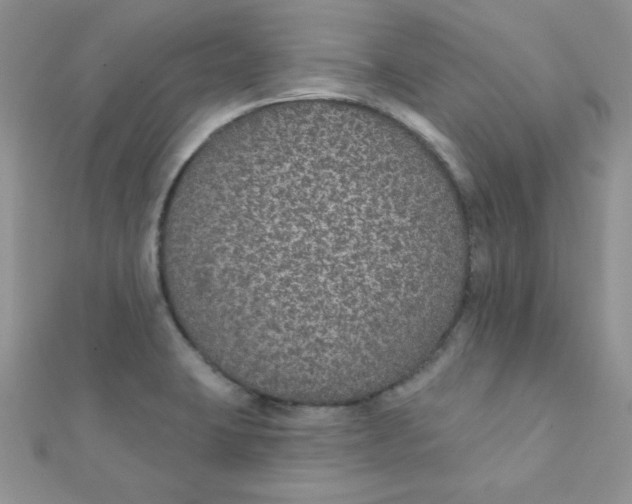 X0000112381423200909031943