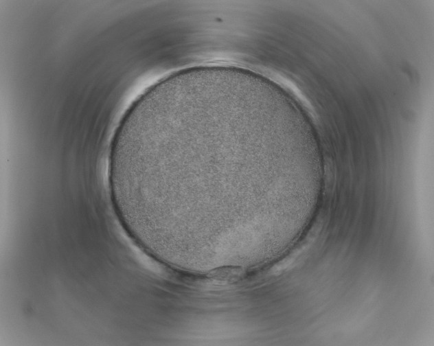 X0000112381424200909031943