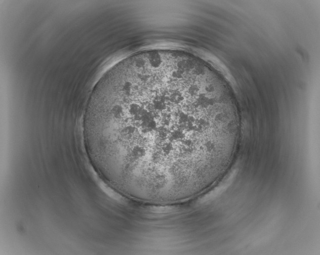 X0000112381425200909031943