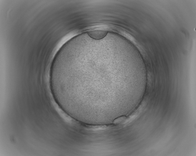 X0000112381426200909031943