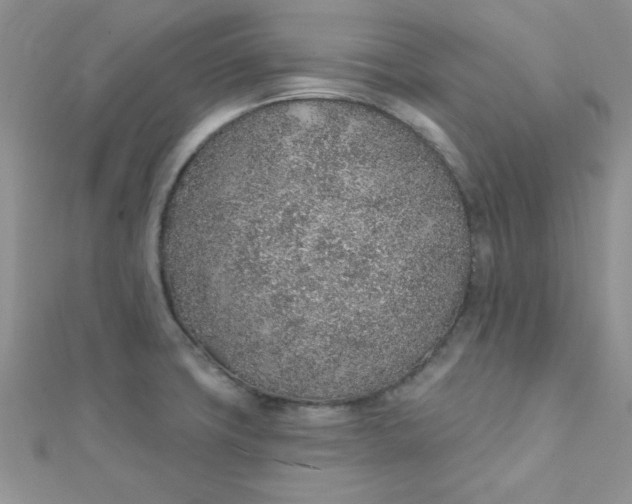 X0000112381427200909031943