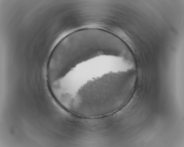 X0000112381428200909031943