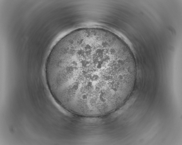 X0000112381429200909031943