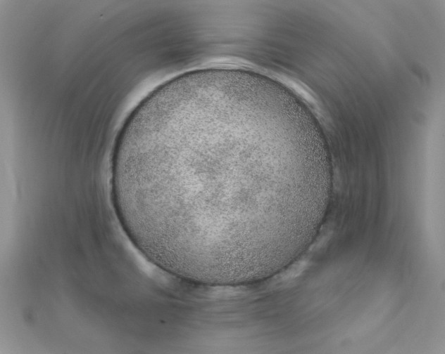 X0000112381430200909031943