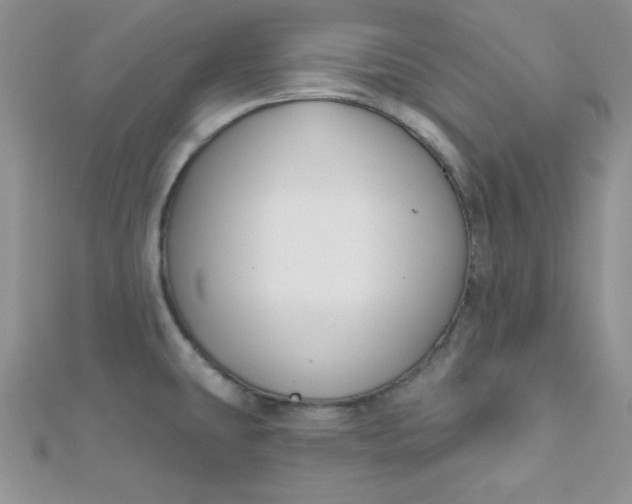 X0000112381431200909031943