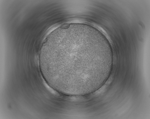 X0000112381433200909031943