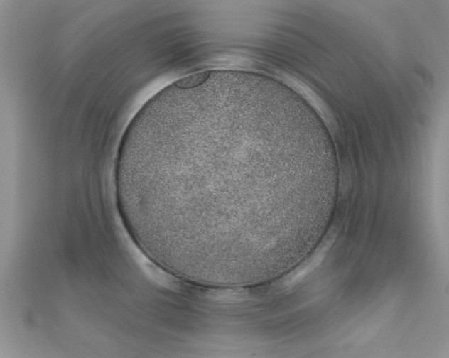 X0000112381434200909031943