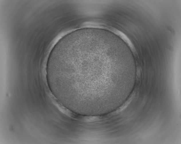 X0000112381435200909031943