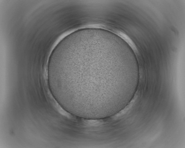 X0000112381436200909031943