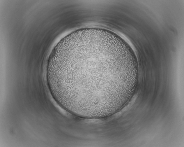 X0000112381437200909031943