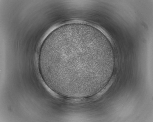 X0000112381438200909031943