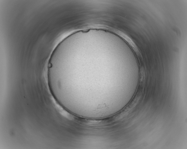 X0000112381439200909031943