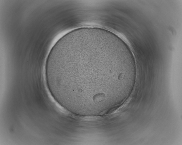 X0000112381440200909031943