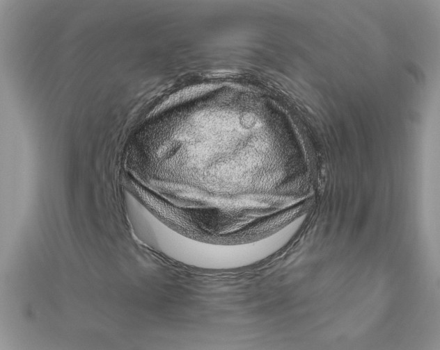 X0000112381441200909031942