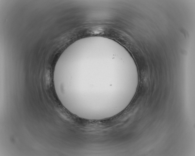 X0000112381442200909031942