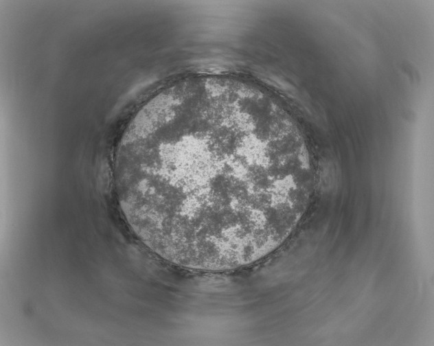 X0000112381446200909031942