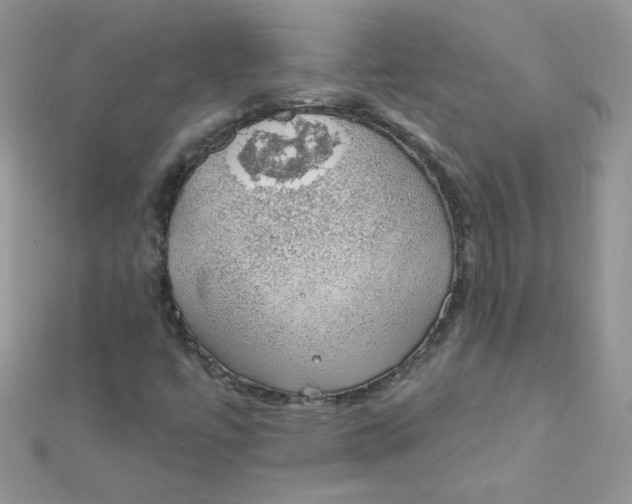 X0000112381447200909031942