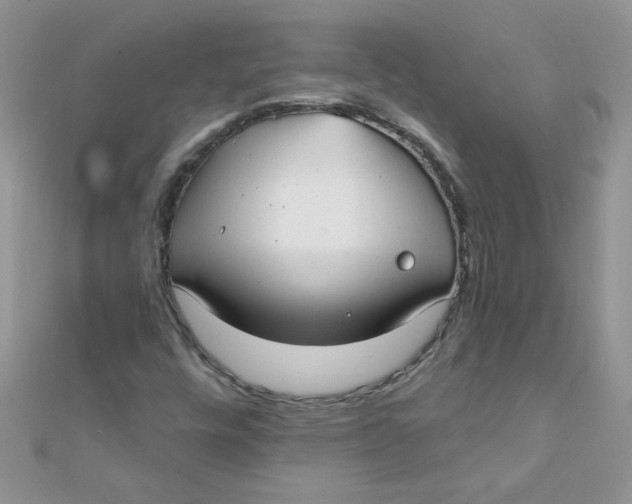 X0000112381448200909031942