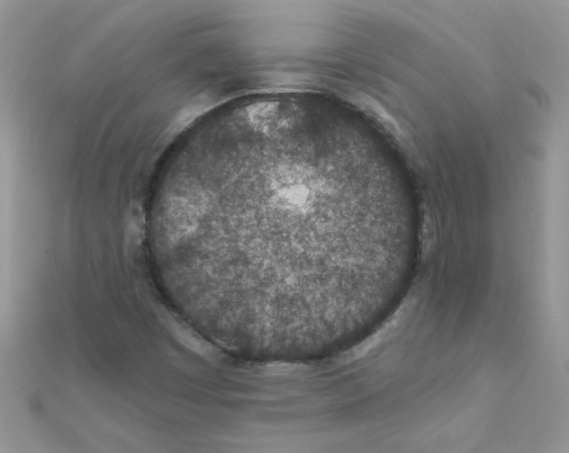 X0000112381449200909031942