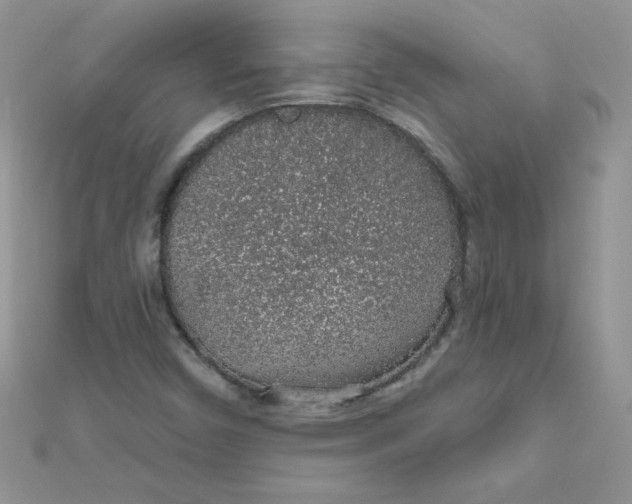 X0000112381450200909031942