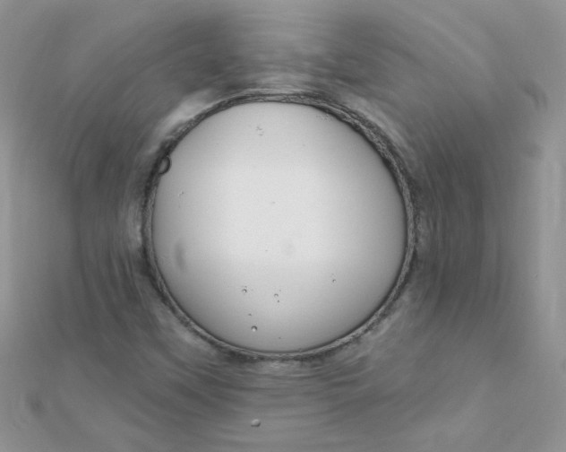 X0000112381451200909031942