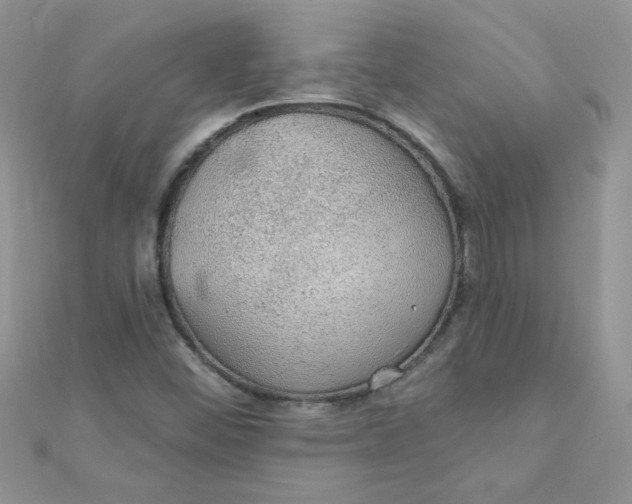 X0000112381452200909031942