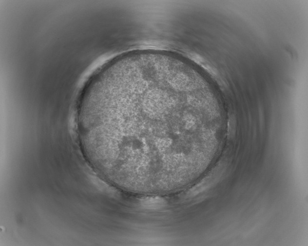 X0000112381454200909031942