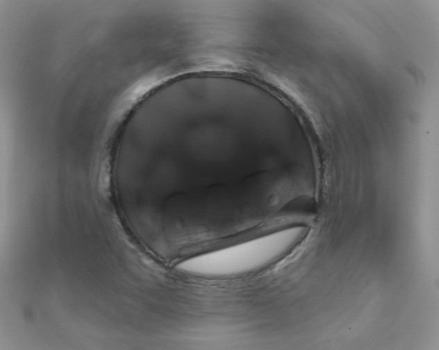 X0000112381455200909031942