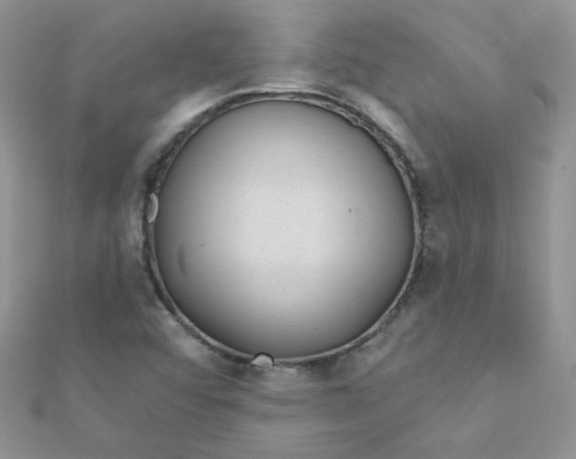 X0000112381456200909031942