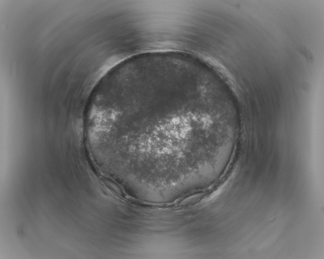 X0000112381457200909031942